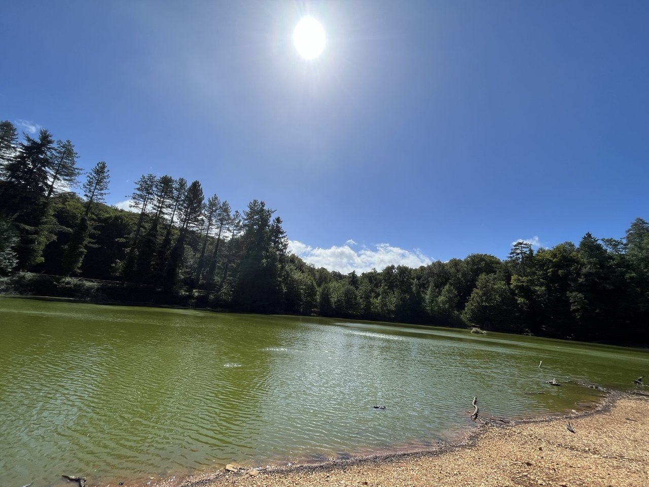 Foresta Umbra nel Parco del Gargano con sentieri e faggete