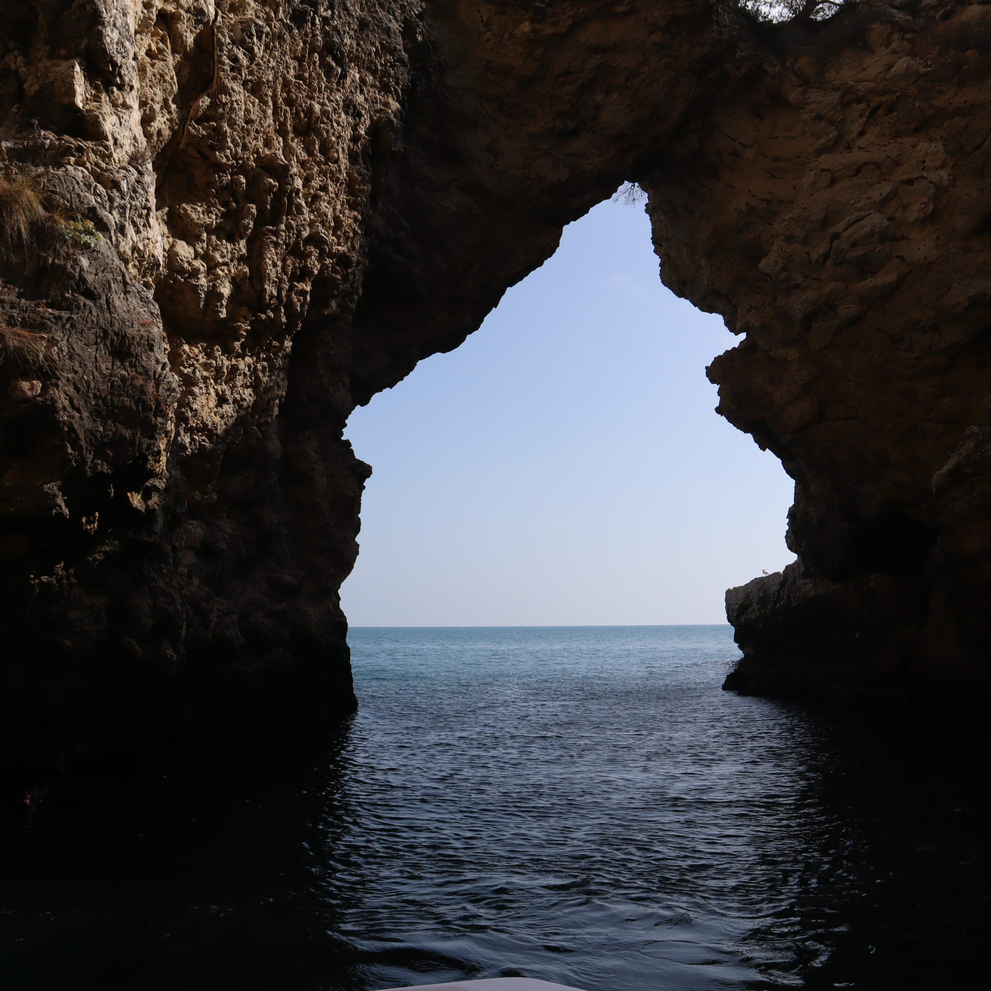 Tour in barca nelle grotte marine di Vieste